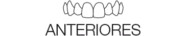 Anteriores by Dr Jan Hajtó Logo